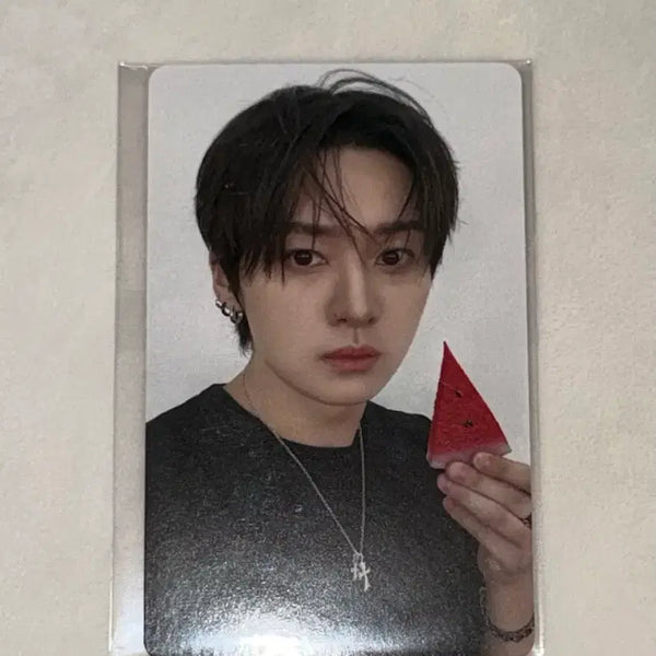 [BUNJANG] Stray Kids Leeknow Dissonance Fanshop POB Photocard / 안전결제가능 스키즈 스트레이키즈 디스앤댓 팬즈샵 특전포카 미공포 리노 leeknow 리빗 양도 판매