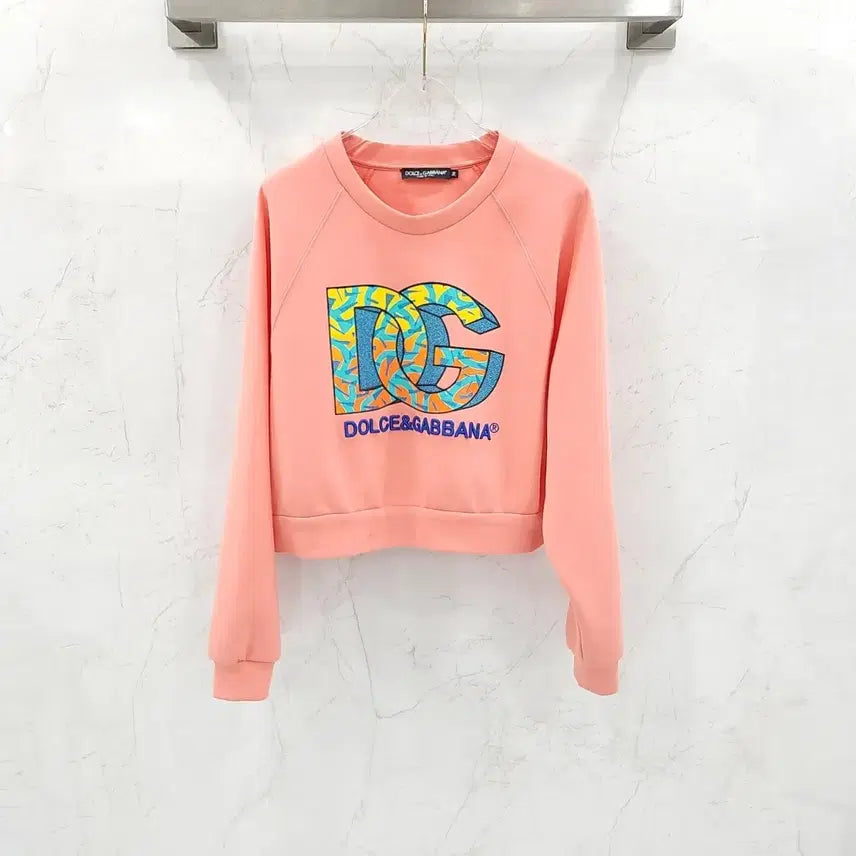 [BUNJANG] Dolce & Gabbana Embroidered Logo Sweatshirt / 36 / 돌체앤가바나 자수 로고 맨투맨