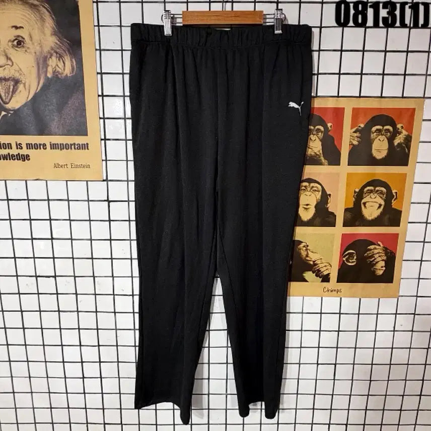 [BUNJANG] Puma Training Pants Black / 퓨마 트레이닝 바지 블랙 0813