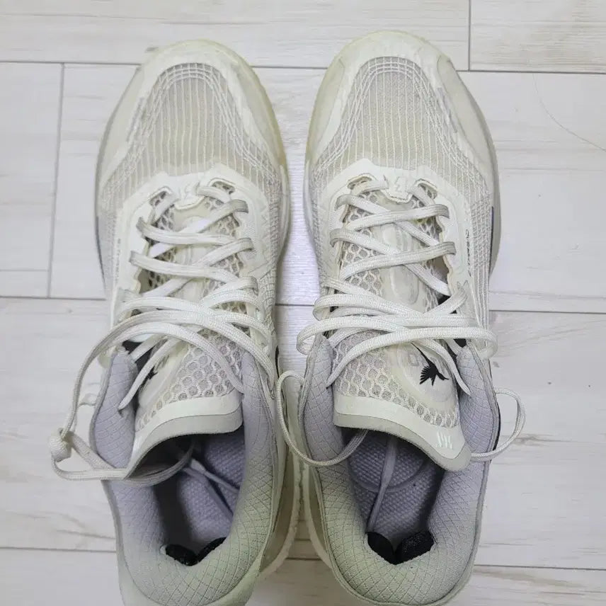 [BUNJANG] 361 Degrees Biospeed BB 1 Basketball Shoes / 361도 Biospeed bb 1 농구화