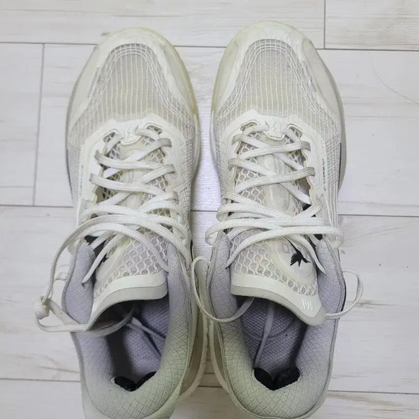 [BUNJANG] 361 Degrees Biospeed BB 1 Basketball Shoes / 361도 Biospeed bb 1 농구화