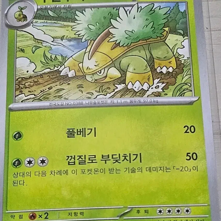[BUNJANG] Pokemon Cards: Phantump & Trevenant Set / [최저가] 포켓몬카드 수풀부기, 토대부기 세트