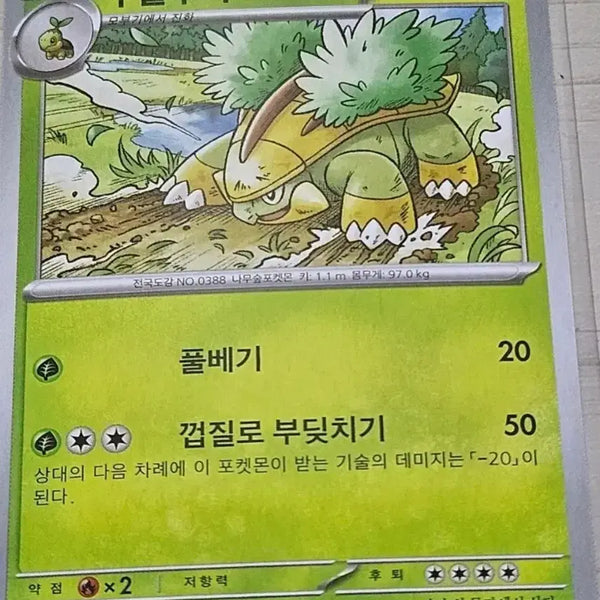 [BUNJANG] Pokemon Cards: Phantump & Trevenant Set / [최저가] 포켓몬카드 수풀부기, 토대부기 세트