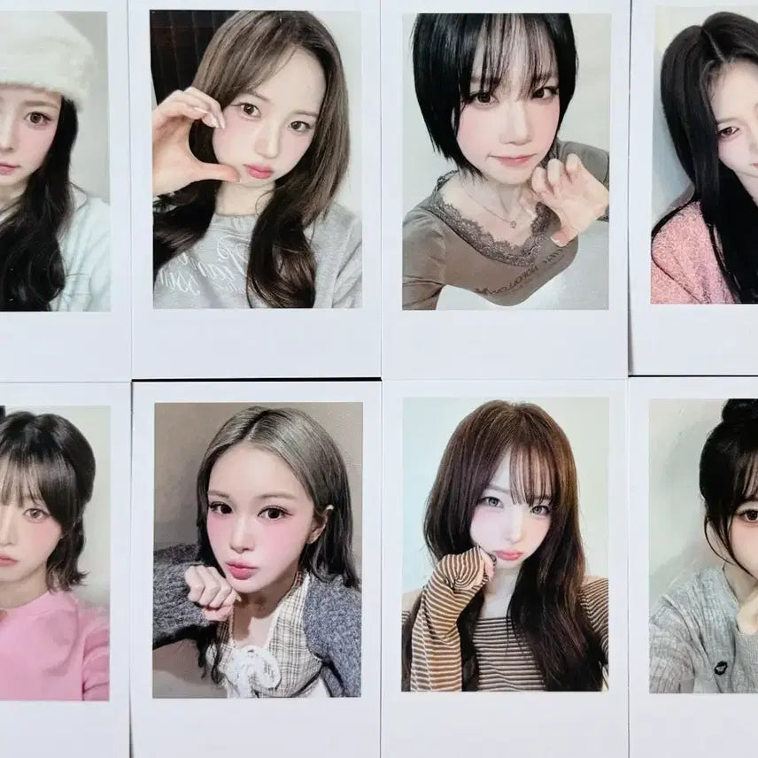 [BUNJANG] TripleS Who'sfan Fan Meeting POB Photocard Set / 트리플에스 260222 후즈팬 팬싸인회 특전 포토카드 세트 판매 tripleS 미공포