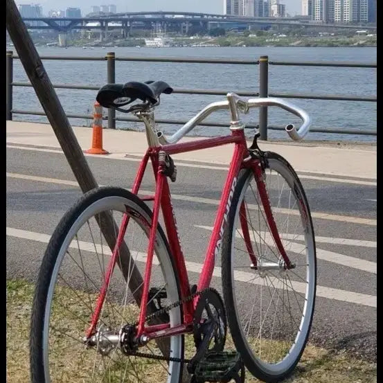 [BUNJANG] Anchor Bridgestone Track Bicycle - Rare Pearl Red / 앙카브릿지스톤 경륜 개급처