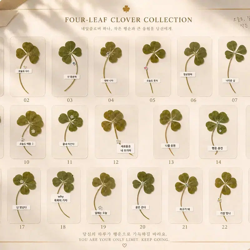 [BUNJANG] Four Leaf Clover Bookmark with Encouragement Message / 수험생 취준생 커플 랜덤 행운가득 응원 네잎클로버 생화 카드 책갈피