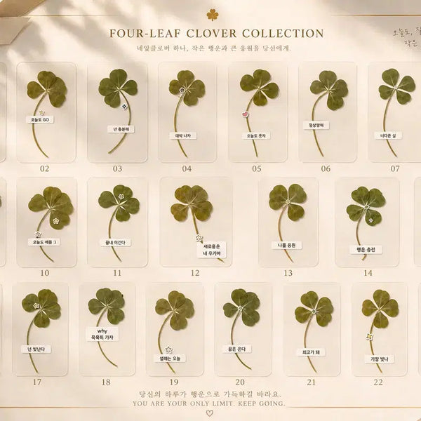 [BUNJANG] Four Leaf Clover Bookmark with Encouragement Message / 수험생 취준생 커플 랜덤 행운가득 응원 네잎클로버 생화 카드 책갈피