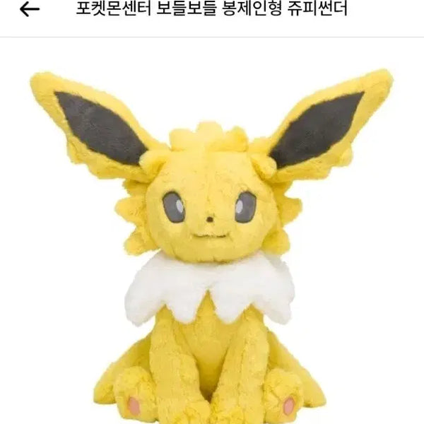 [BUNJANG] Pokemon Zappy Thunderbolt Plush / 포켓몬스터 쥬피썬더 보들보들 후와후와 봉제인형
