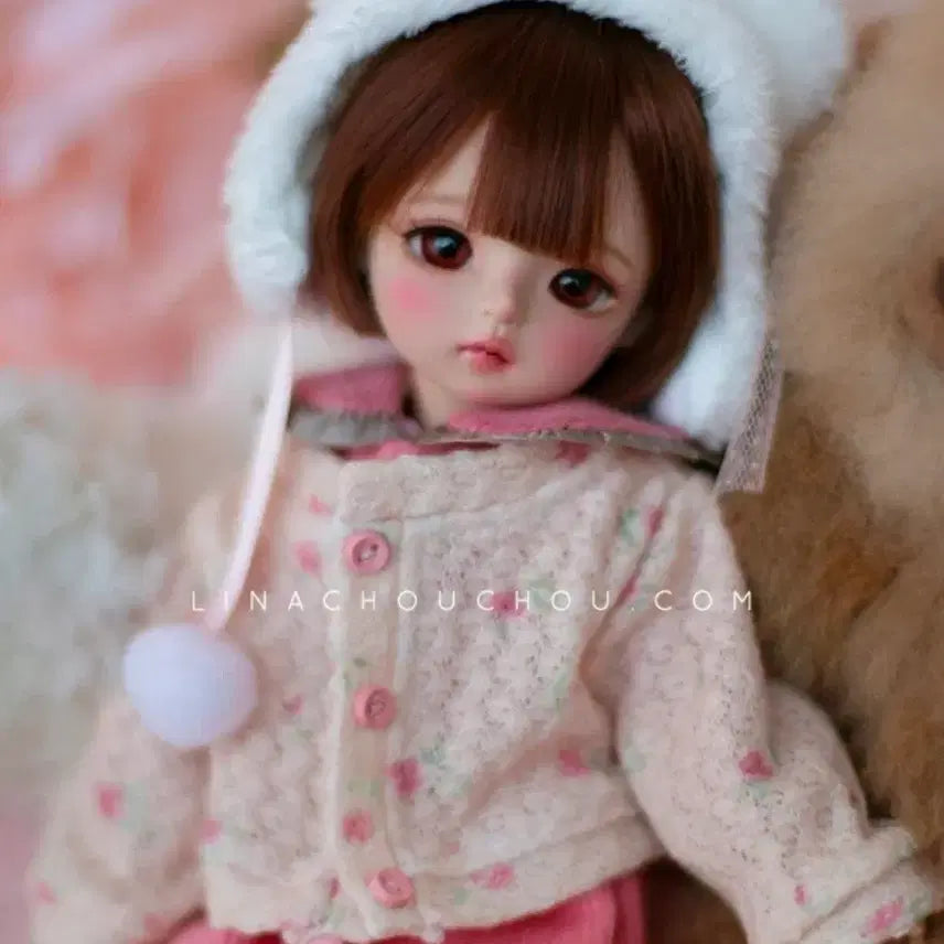 [BUNJANG] LinaShuShu Cookie Ball-Jointed Doll / 리나슈슈 쿠키 구제관절인형 새거