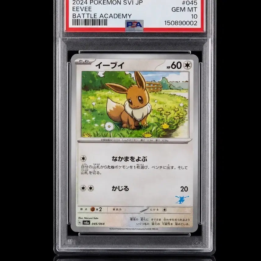 [BUNJANG] Pokemon Eevee Battle Academy 045/064 PSA 10 Japanese Version / 포켓몬카드 이브이 배틀 아카데미 045/064 PSA10 일본판