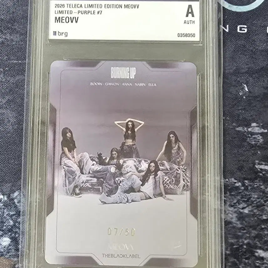 [BUNJANG] Miyaw Terruka Limited Purple Group Photocard 07/50 / 미야오 테레카 리미티드 퍼플 단체 07/50 양도