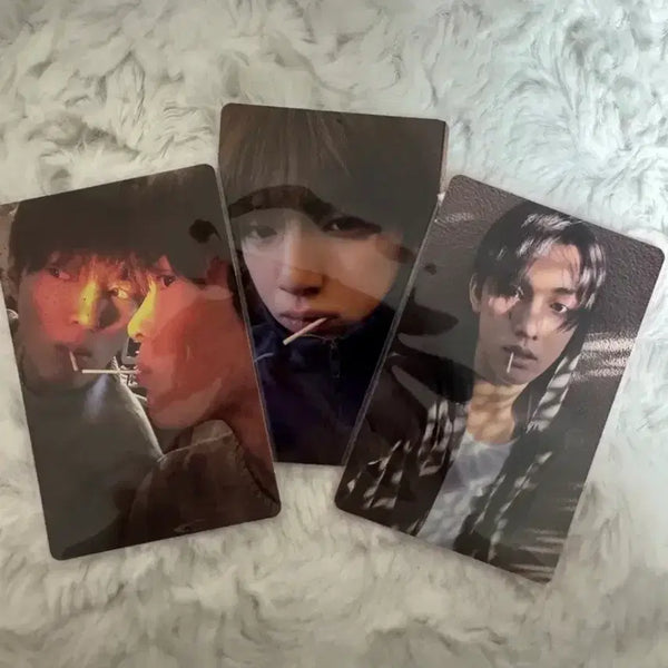 [BUNJANG] VERIVERY Courtiis GREENGREEN Weverse Album Set A/B Ver. (Kim Gyuhyeon, Yeonho, Donghyun) / 코르티스 GREENGREEN 위버스 앨범 a B ver 안건호 김주훈 엄성현 앨범포 일괄