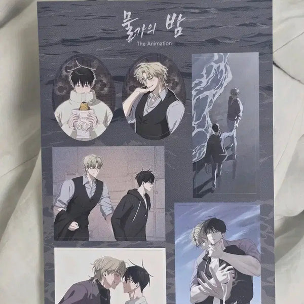 [BUNJANG] Mulgaeui Bam Sticker Set / 물가의 밤 스티커 판매합니다