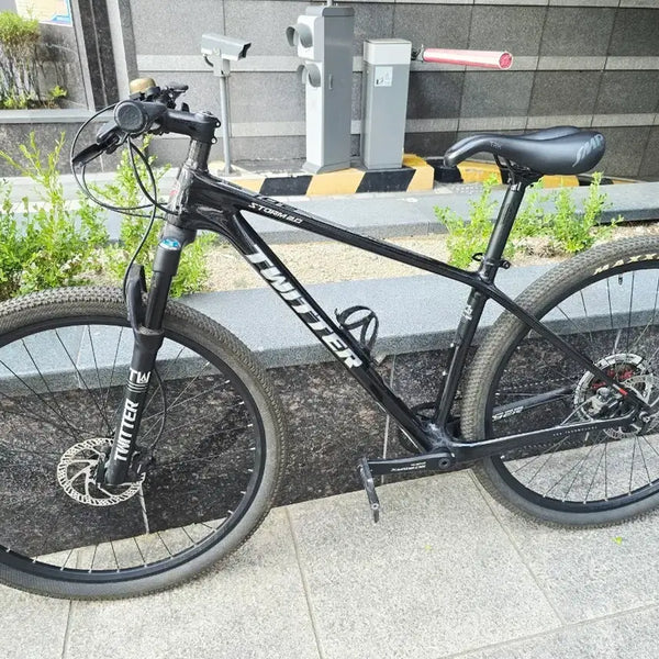 [BUNJANG] Twitter Carbon MTB 29-inch / 트위터 카본 MTB 29인치 팔아요~!