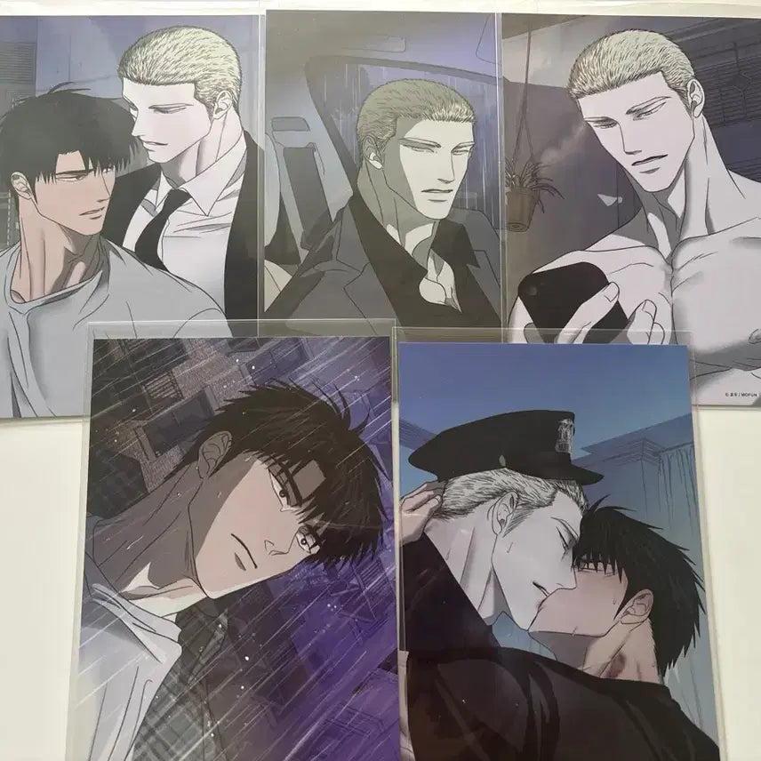 [BUNJANG] Mofun Short Line Postcard Bundle Set / 모펀 셔트라인 엽서 일괄
