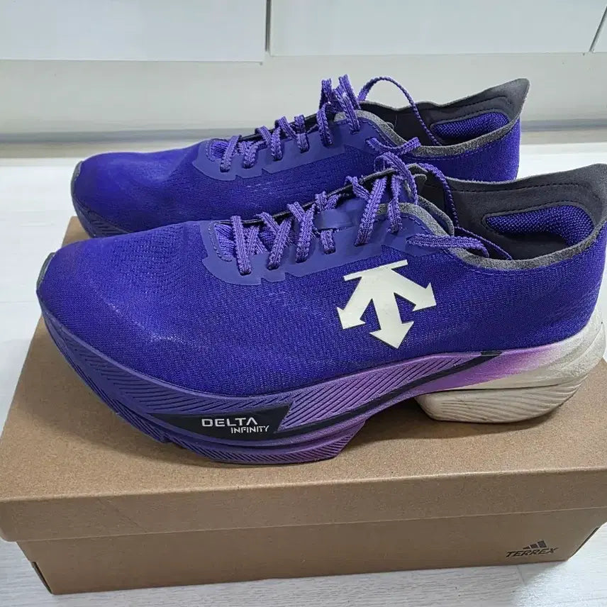 [BUNJANG] Descente Carbon Running Shoes DeltaPro EXP V3 Size 260 / 데상트 카본화 델타프로 EXP V3 260사이즈