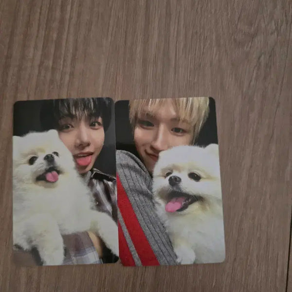 [BUNJANG] Jaehyun Liu Jjangi Photocard / 재현 리우 짱이 포카