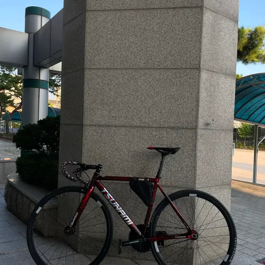 [BUNJANG] Tsunami Ban-cha Bicycle Frame / 쓰나미 반차 급처