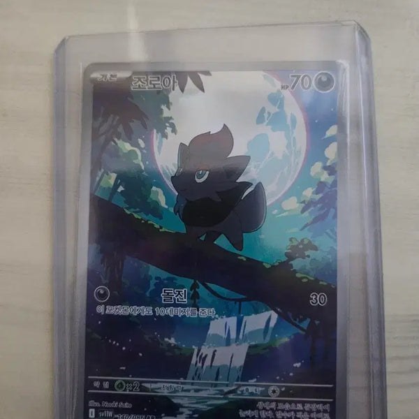 [BUNJANG] Pokemon Card Zoroark R / 포켓몬 카드 조로아 R