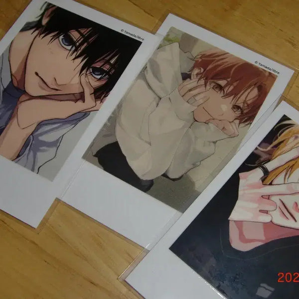 [BUNJANG] Toonique Tashiro Polaroid Photocard Bundle Set / 투니크 타시로 너란 녀석은 폴라로이드 포카 (일괄)