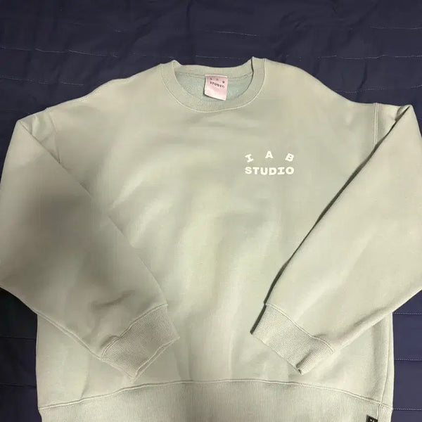 [BUNJANG] IAB STUDIO Sweatshirt Mint / IAB STUDIO 맨투맨 민트
