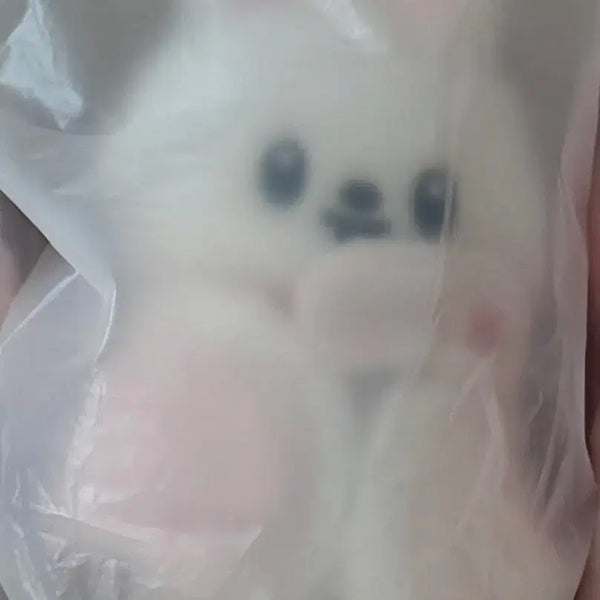 [BUNJANG] Stray Kids Leebit 10cm Plush Doll / 스트레이키즈 스키주 플러시 10 cm  리빗 리노 스키즈 팬미팅