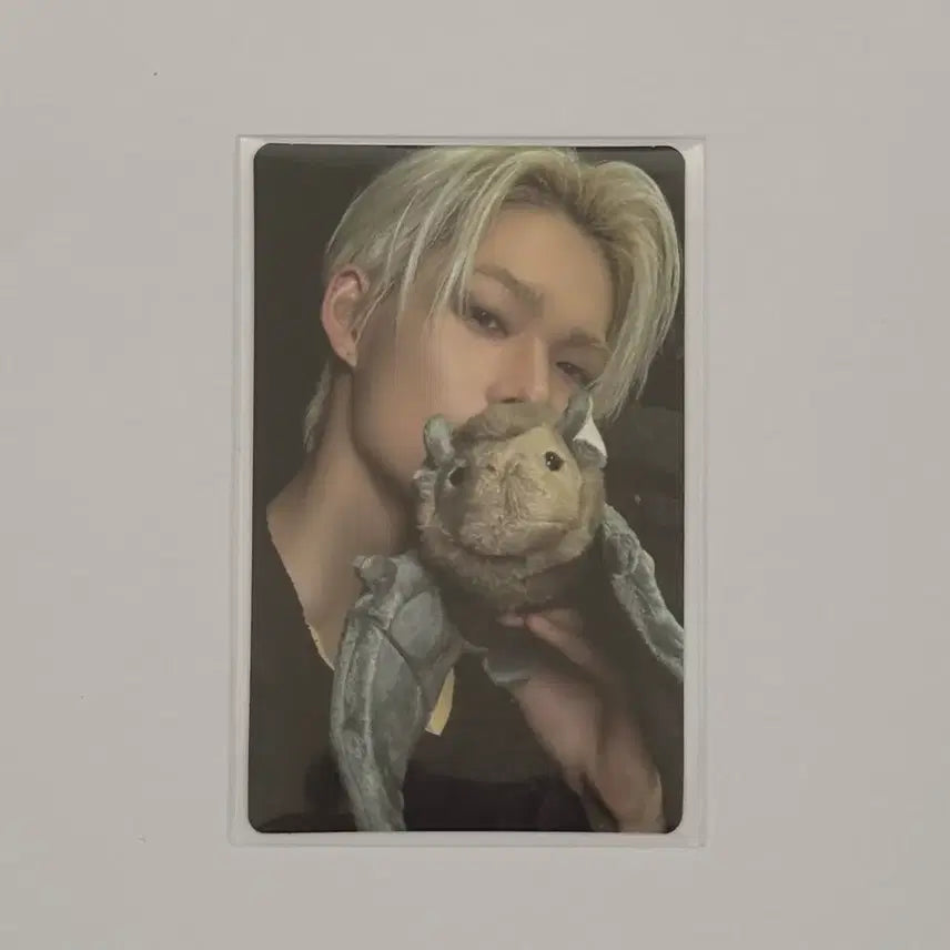 [BUNJANG] Enhypen Sunghoon The Sin:Vanish Forbidden Bat Photocard / 엔하이픈 니키 the sin:vanish 포비든 박쥐 포카