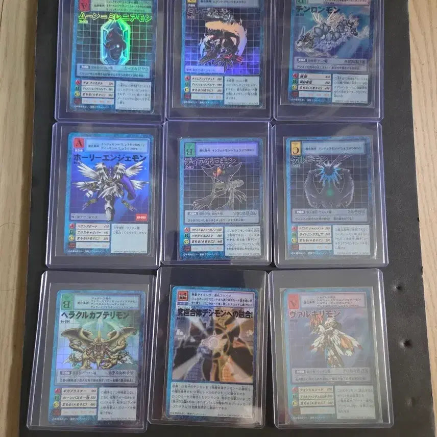 [BUNJANG] Japanese Vintage Digimon Card Bundle (Approx. 900 Cards) / 일판 구 디지몬 카드 일괄 판매합니다. 약 900장