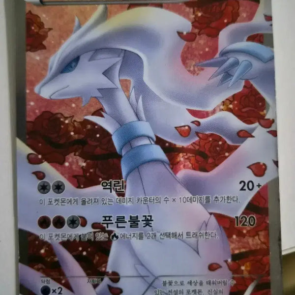 [BUNJANG] Pokemon Card Reshiram SR Shiny Collection (Korean) / 급처) 포켓몬카드 레시라무 SR 샤이니 컬렉션(한글)