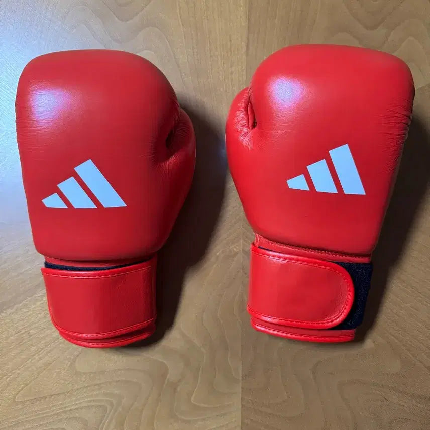 [BUNJANG] Adidas IBAR 10oz Boxing Gloves / 아디다스 아이바 10온즈