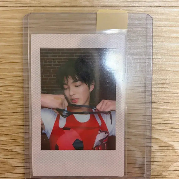 [BUNJANG] CORTEZ Gunho Photocard / 코르티스 건호 포카