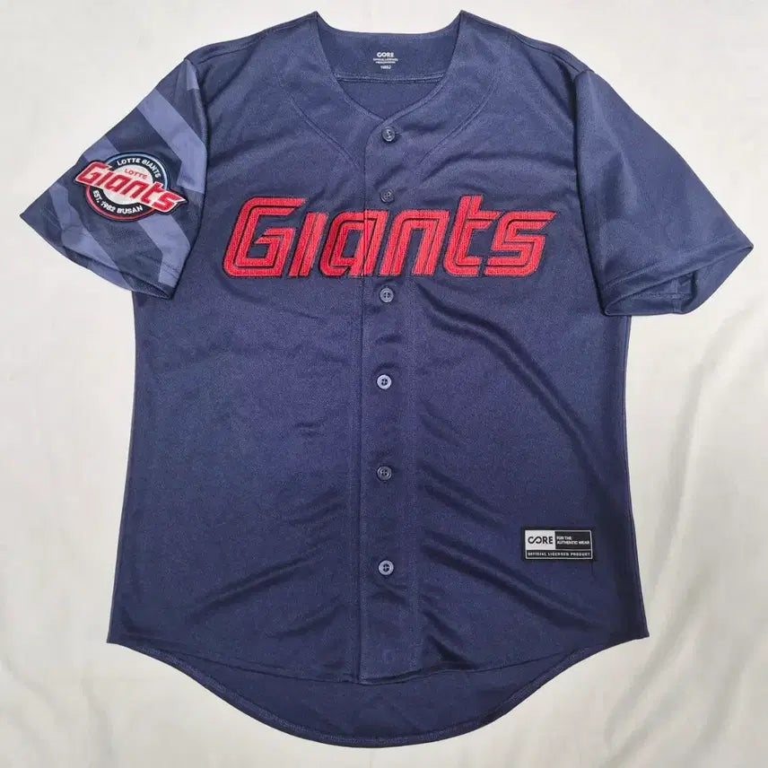 [BUNJANG] Lotte Giants Away Signed No-Marking Jersey Size 100 / 롯데 자이언츠 원정 싸인 노마킹 유니폼 팝니다