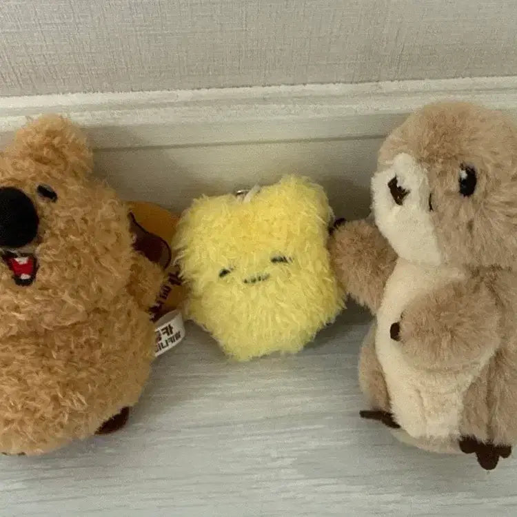 [BUNJANG] Quokka and Squirrel Keychain Bundle / 키링 3개 일괄 저렴하게 판매합니다