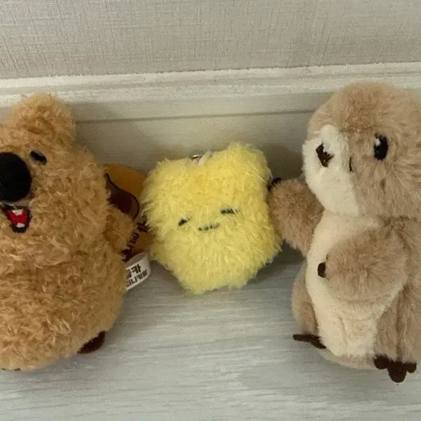 [BUNJANG] Quokka and Squirrel Keychain Bundle / 키링 3개 일괄 저렴하게 판매합니다