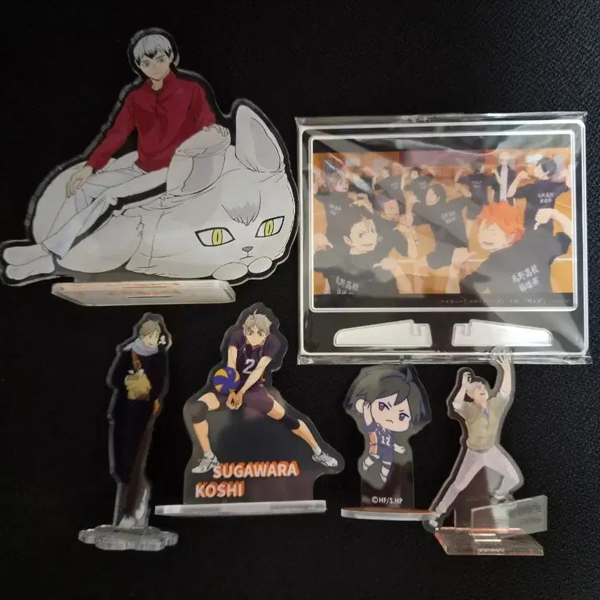 [BUNJANG] Haikyuu!! 10th Anniversary Acrylic Art Panel Sugawara Koushi, Kita Shinsuke, Yamaguchi Tadashi / 원가 이하)하이큐 10주년 아크릴 아트 패널 스가와라 키타 야마구치