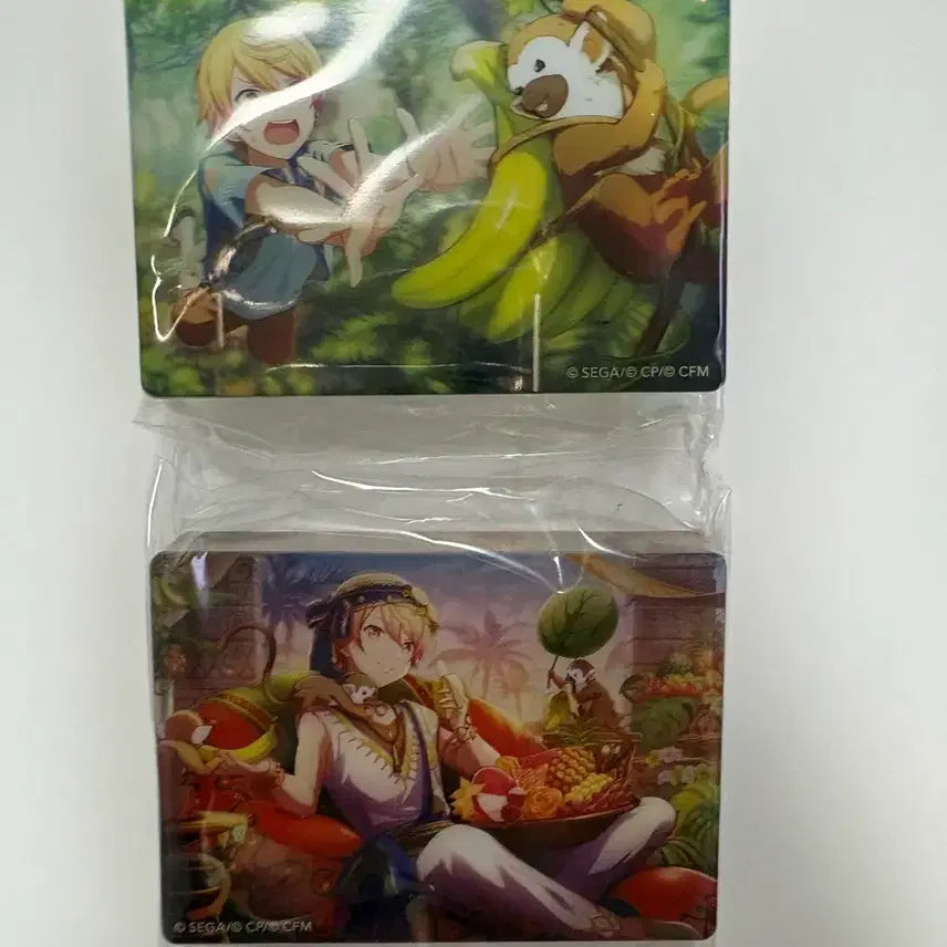 [BUNJANG] Proseka Noble Art Vol. 41/42 Tsukasa / 프로세카 노블아트 vol. 41/42 츠카사