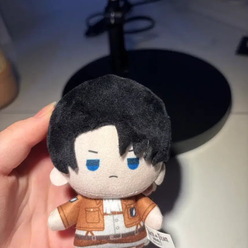 [BUNJANG] Attack on Titan Levi Plush / 진격의 거인 리바이 인형