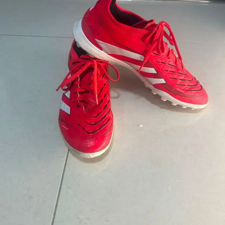 [BUNJANG] Adidas Predator Pro Cleats 275 / 아디다스 프레데터 프로 275 팝니다