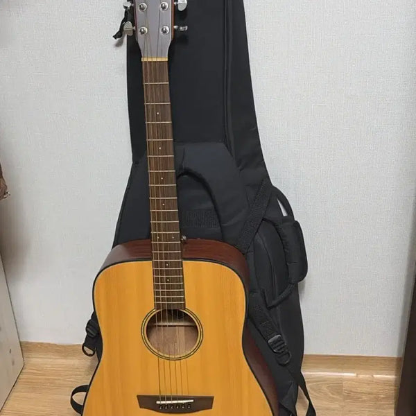 [BUNJANG] Hex D100 Acoustic Guitar / 통기타 (금요일 지나기 준에 거래해주시면 7입니다)