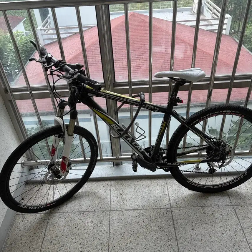 [BUNJANG] Black Cat MTB Bicycle / MTB