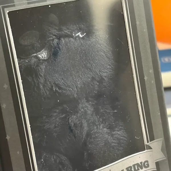 [BUNJANG] Fame Mongryongi Photocard / 페임 멍룡이 양도해요