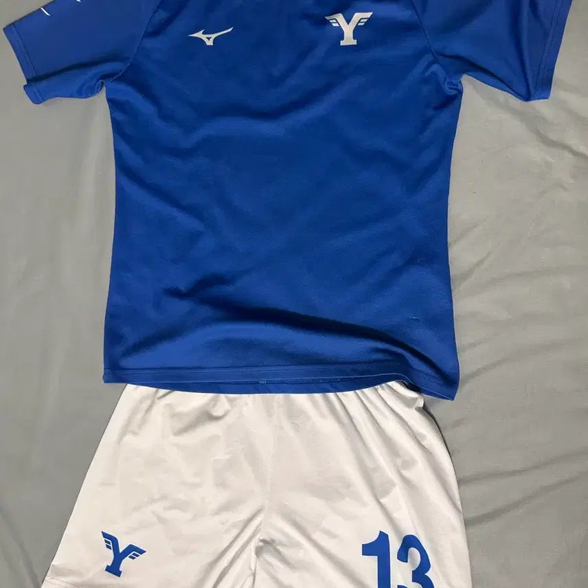 [BUNJANG] Yonsei University Football Team Training Set (L/M) / 연세대 축구부 트레이닝 세트 L/M
