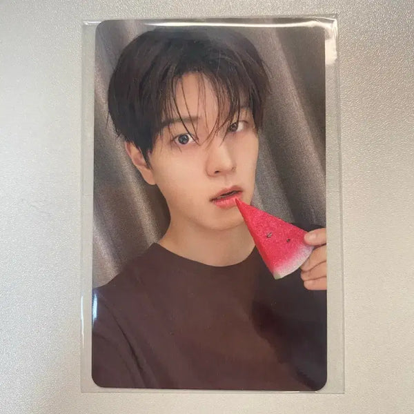 [BUNJANG] Stray Kids Seungmin Dystopian Ver. Fanshop POB Photocard / 스키즈 승민 디스앤댓 팬즈샵 특전포카