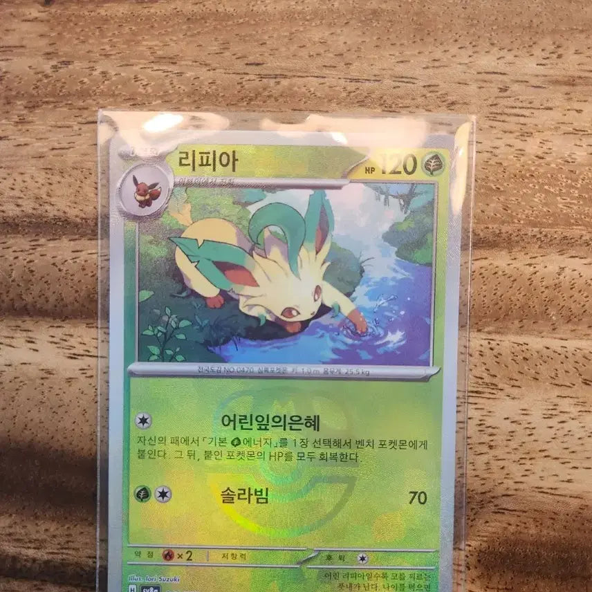 [BUNJANG] Lisia Master Ball / 리피아 마스터볼