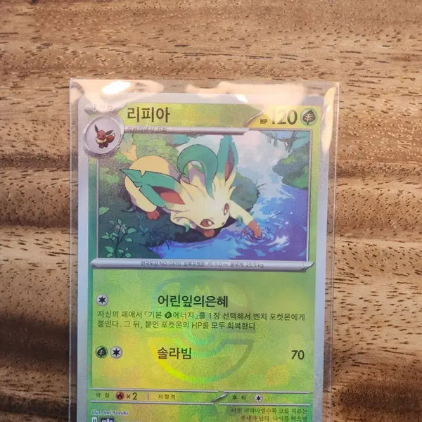 [BUNJANG] Lisia Master Ball / 리피아 마스터볼