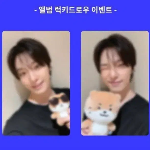 [BUNJANG] SEVENTEEN DINO Pinwheel Lucky Draw POB Photocard / 1set 세븐틴 디노 피철인 럭드 팝업 특전 포카 판매