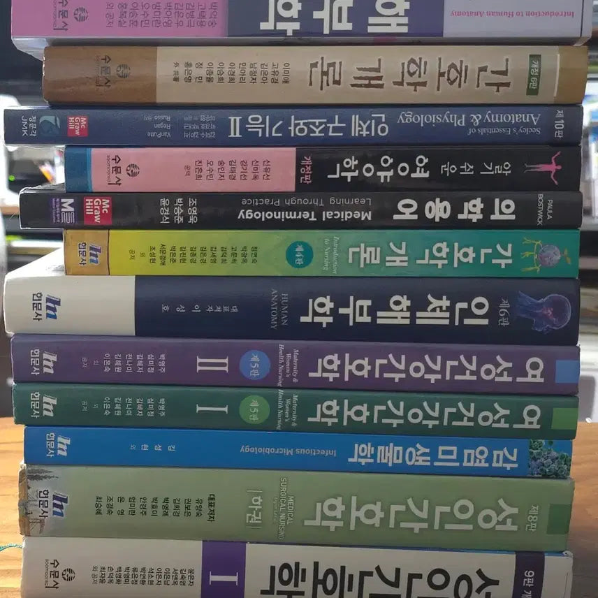 [BUNJANG] Nursing Textbooks Bundle / 간호학과 교재 일괄 5만원 (간호학,해부학,의학용어,성인간호학,미생물학)