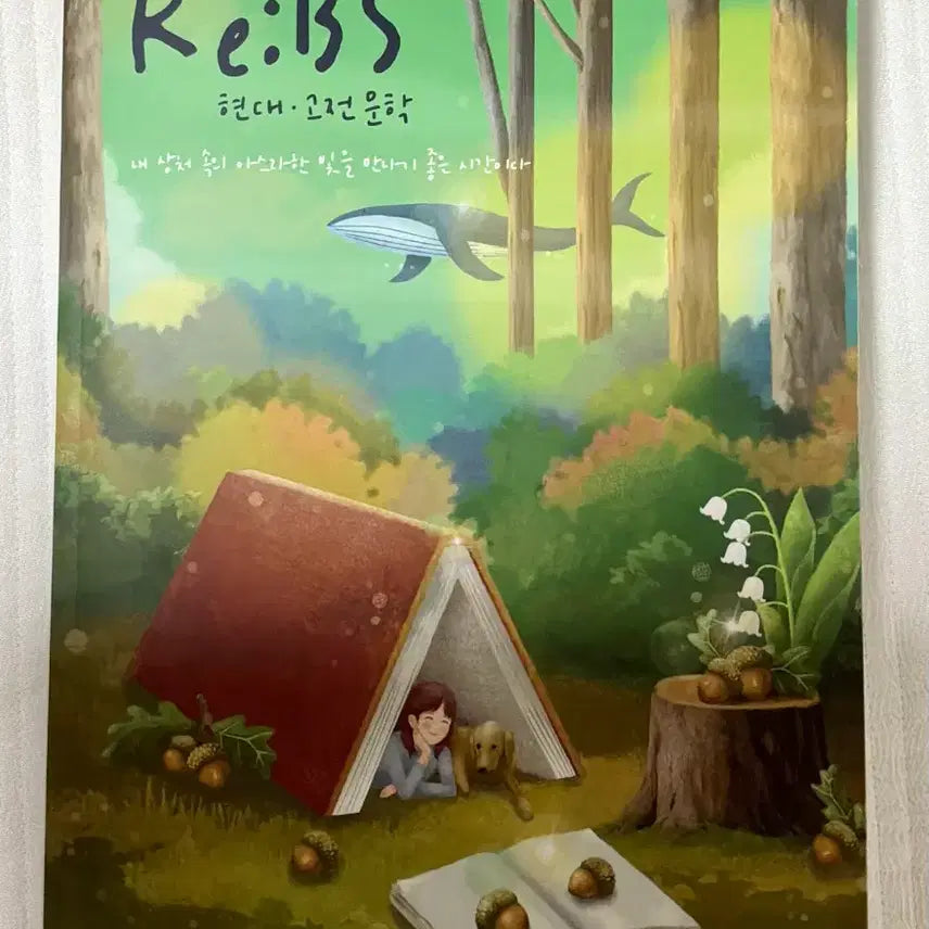 [BUNJANG] Kang Eun-yang 2027 EBS College Scholastic Ability Test Complete Literature Analysis Book / 2027 강은양T ReBS 수능완성 문학