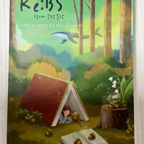 [BUNJANG] Kang Eun-yang 2027 EBS College Scholastic Ability Test Complete Literature Analysis Book / 2027 강은양T ReBS 수능완성 문학