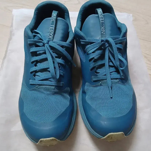 [BUNJANG] Arc'teryx Hiking Boots Size 245 / 아크테릭스 245